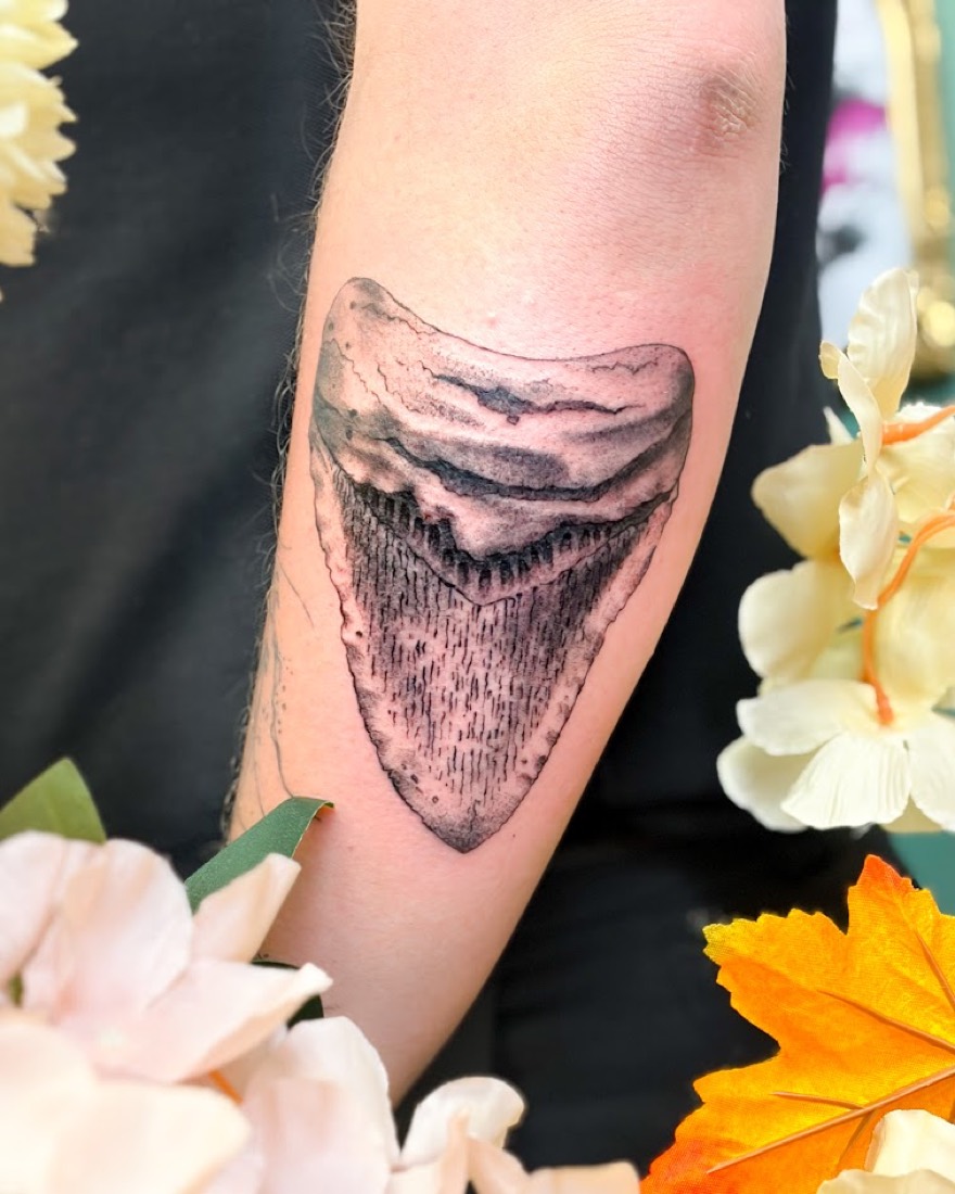 Tatouage dent de mégalodon en noir et gris, réalisme, Phanpy Ink